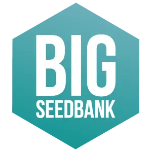 Big Seedbank